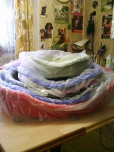 pelechy-pro-marsovice-7.1.2010.jpg