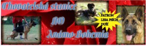 anamo-bohemia-banner.jpg