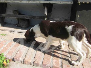 img_0003.jpg