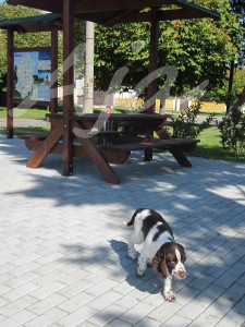 img_0002.jpg