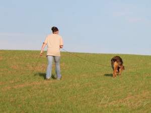 img_5578.jpg