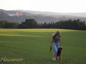 img_5913.jpg