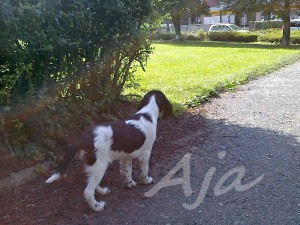 27092011294.jpg
