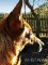 086hacmor20110220.jpg