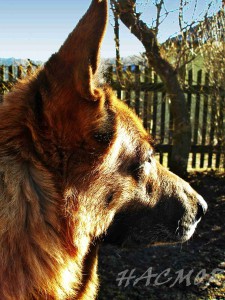 086hacmor20110220.jpg