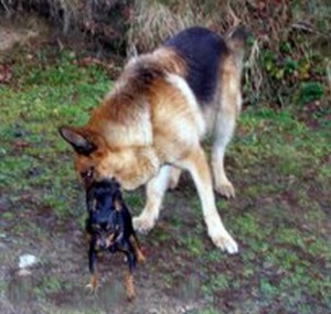 laska-morgan-a-ema.jpg