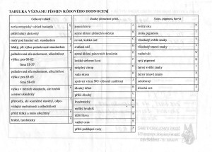 087hacmor20110221.jpg
