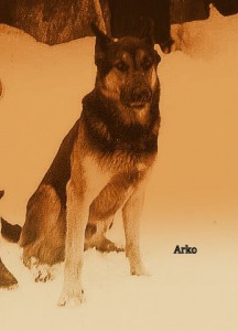 dobarveny-arko.jpg