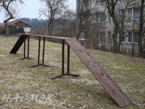 110hacmor20110303.jpg