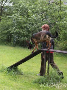 abie-8.jpg