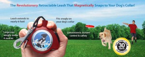 banner-img_1.jpg