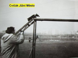 cvicak-jizak.jpg