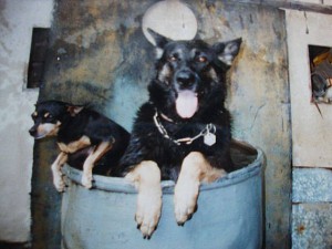 zorka-a-corry.jpg