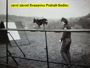 jarni-zavod.jpg