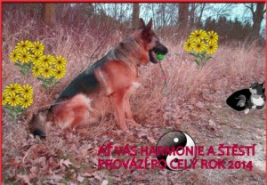novorocenka-s-holly.jpg
