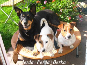 jerda-ferda-berka--2-.jpg