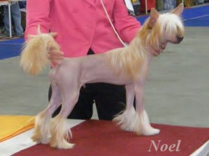 noell-postoj.jpg