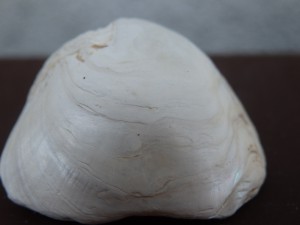 p4300845.jpg