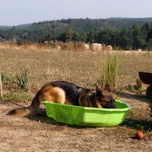 stazeny-soubor--1-.jpg