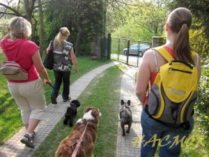 img_1136.jpg