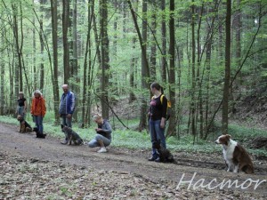 img_2373.jpg