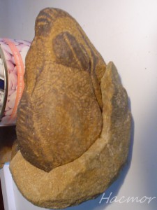 egg_009.jpg