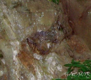 p5231892--3-.jpg