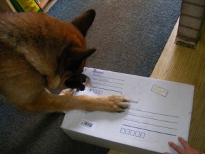 23.12.2010-snehova-nadilka-a-morganuv-balik...-012.jpg