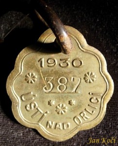 001hacmor20101123.jpg