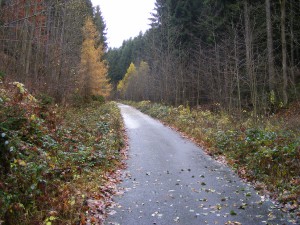 4.11.2007-018.jpg