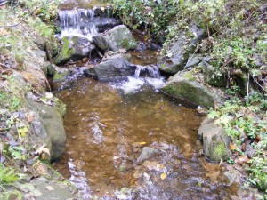4.11.2007-020.jpg