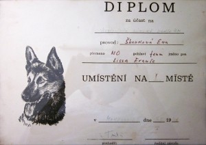 diplom-i.misto.jpg