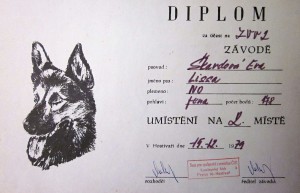 diplom-zvv2-ii.misto.jpg