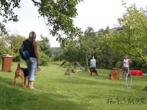 img_4519.jpg