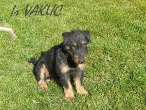 093hacmor20110105.jpg
